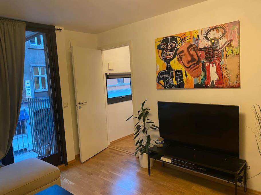 Leilighet Midt I Oslo Sentrum 2 Soverom Og Stue Kültér fotó